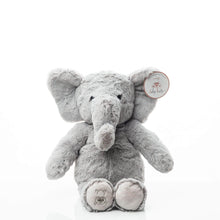 Load image into Gallery viewer, Heartbeat Bears