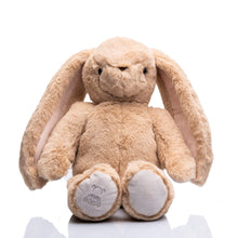 Load image into Gallery viewer, Heartbeat Bears