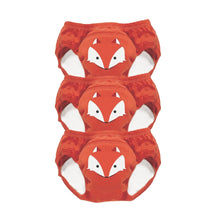 Load image into Gallery viewer, My Little Training Pants 3 Pack